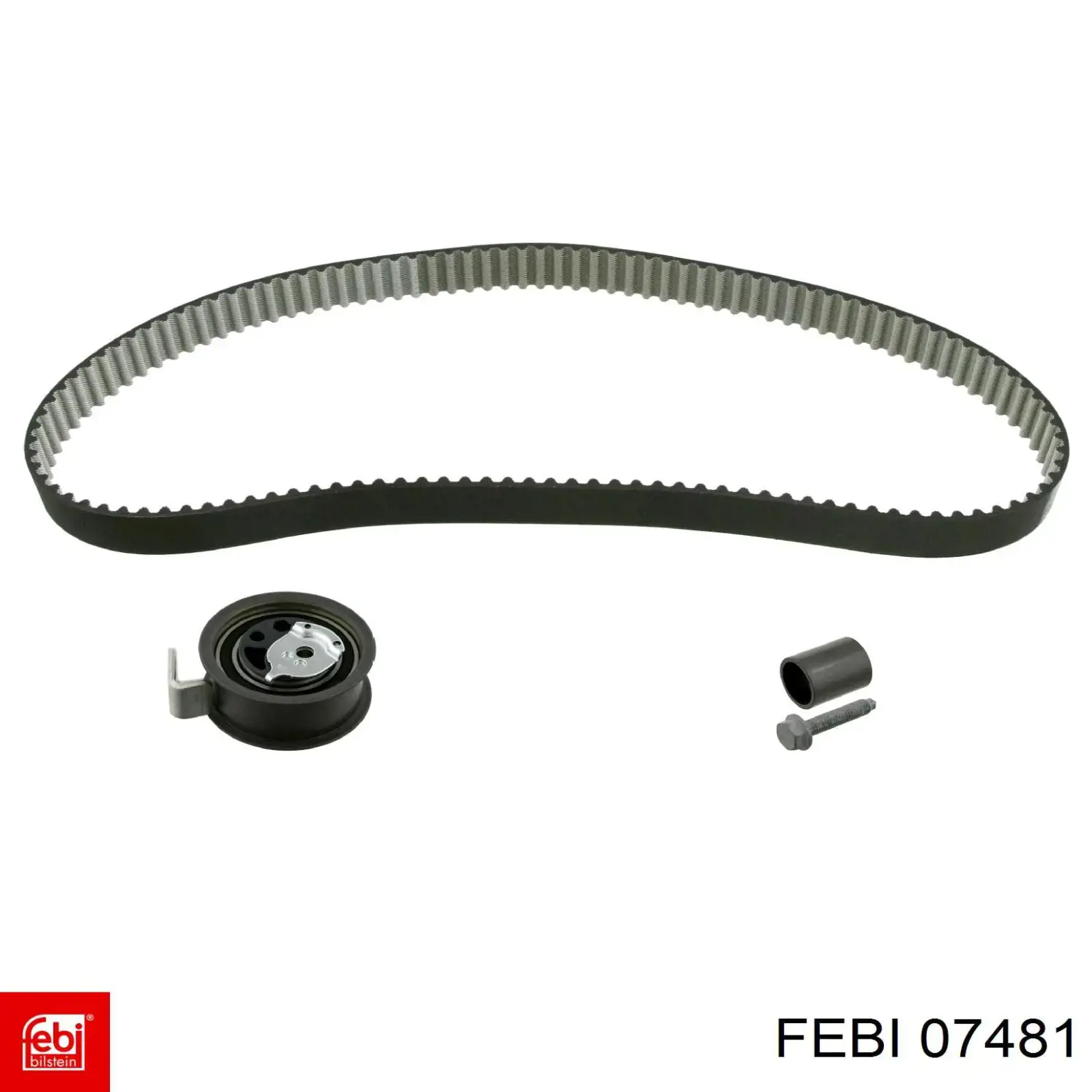 Сальник переднего поворотного кулака Febi 07481