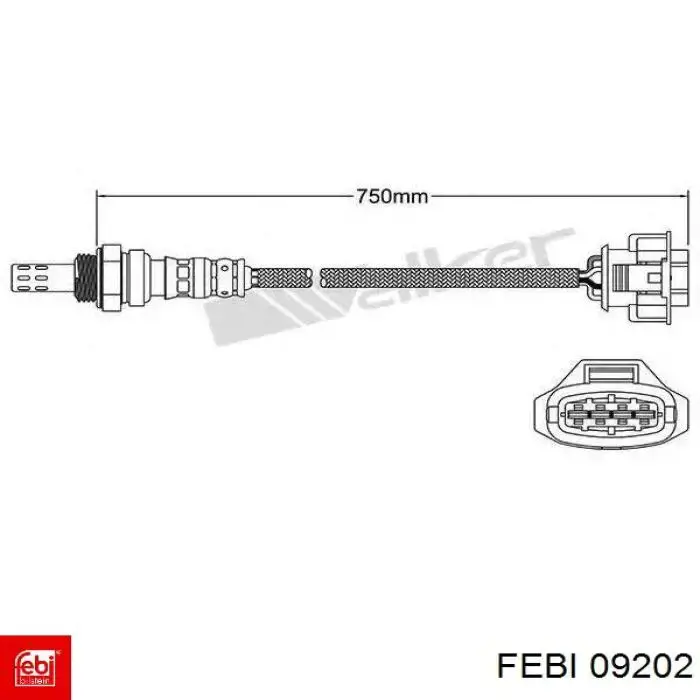  51128 Auger