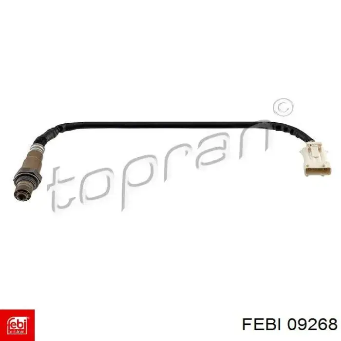 Цепь масло насоса Febi 09268 цена, от 15.19 USD