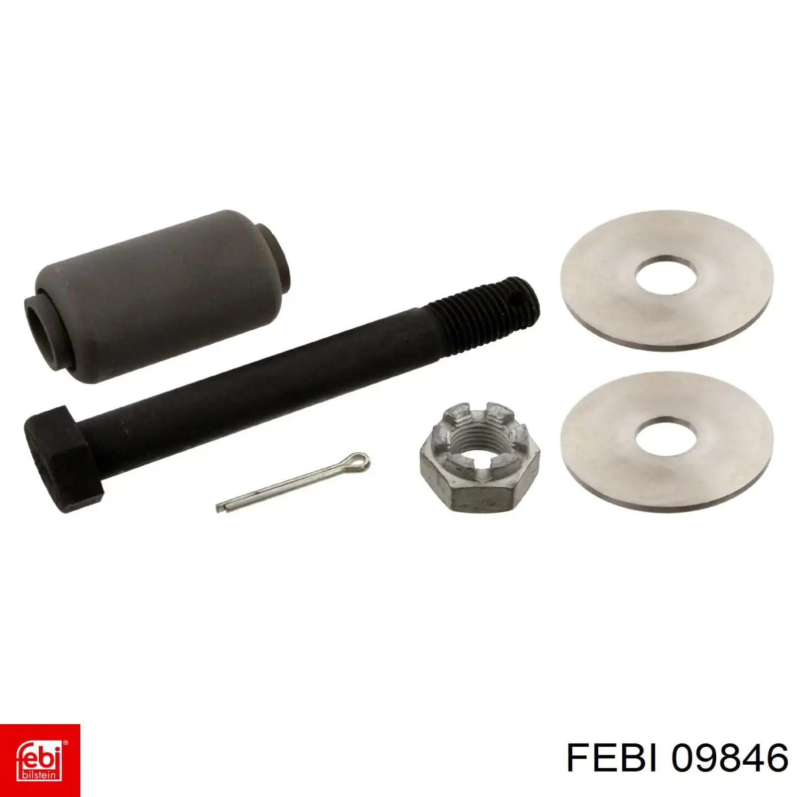  09846 Febi