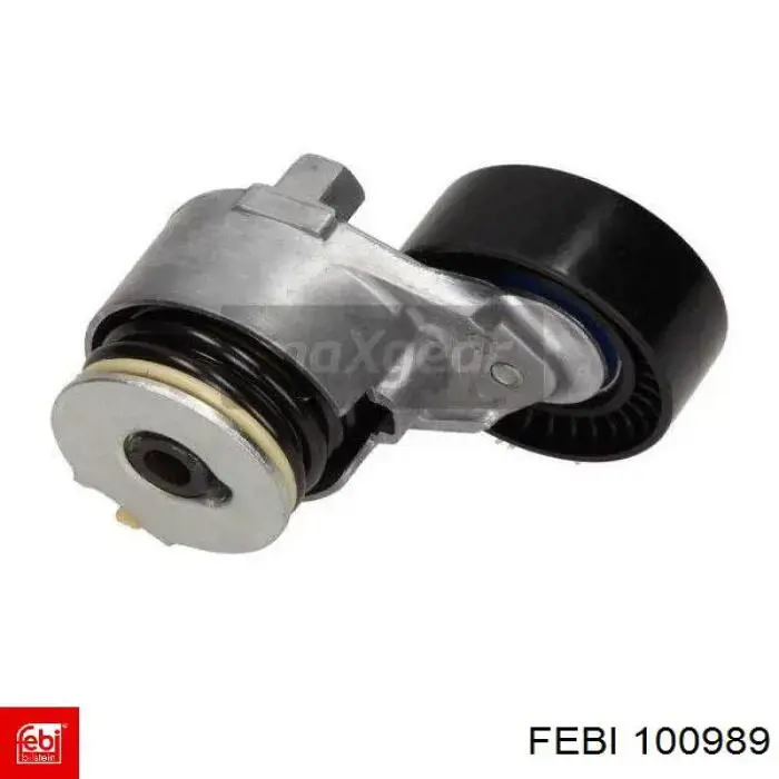  100989 Febi