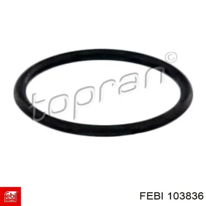 Кольцо форсунки WHT000884 Porsche