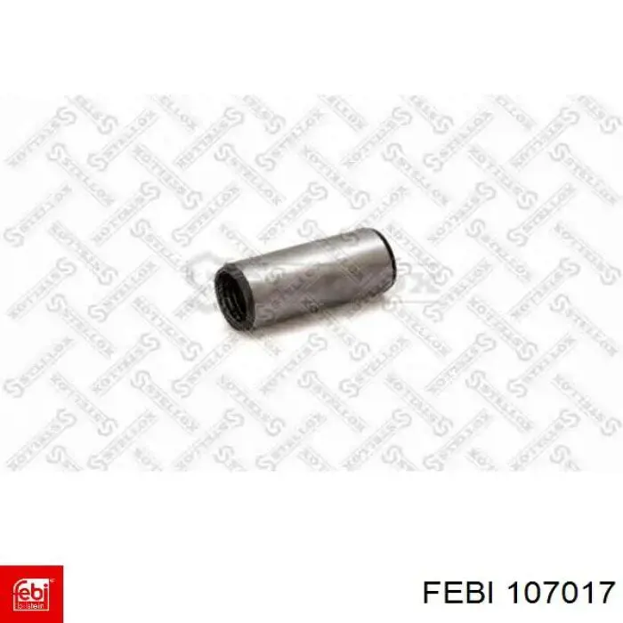 Дроссельная заслонка 107017 Febi