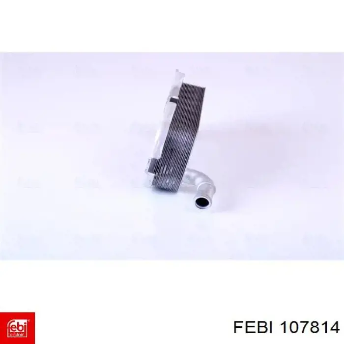 107814 Febi radiador de óleo