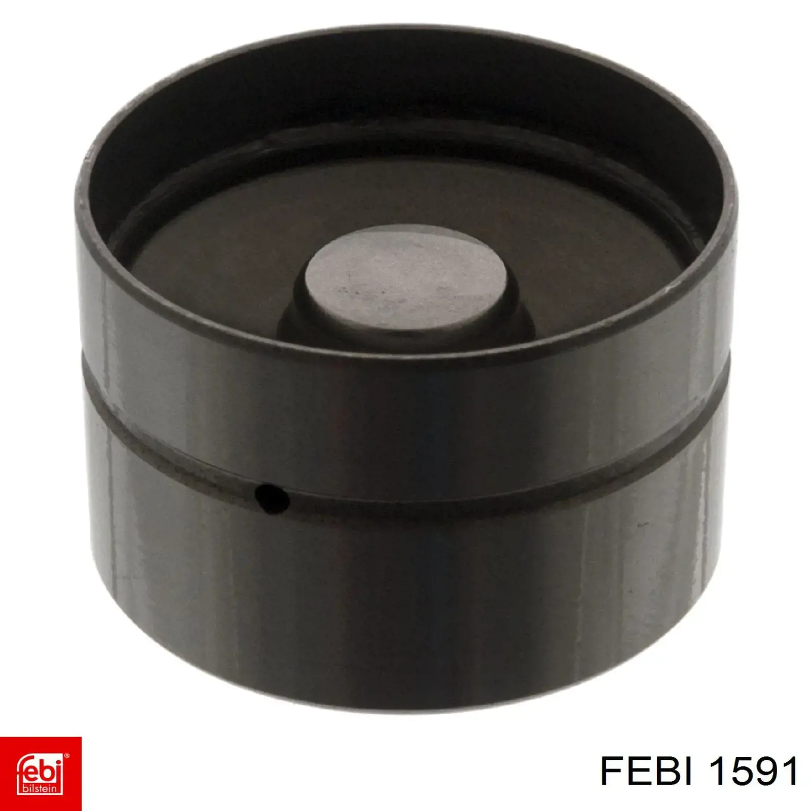1591 Febi