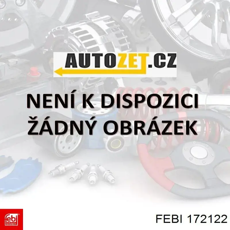 172122 Febi