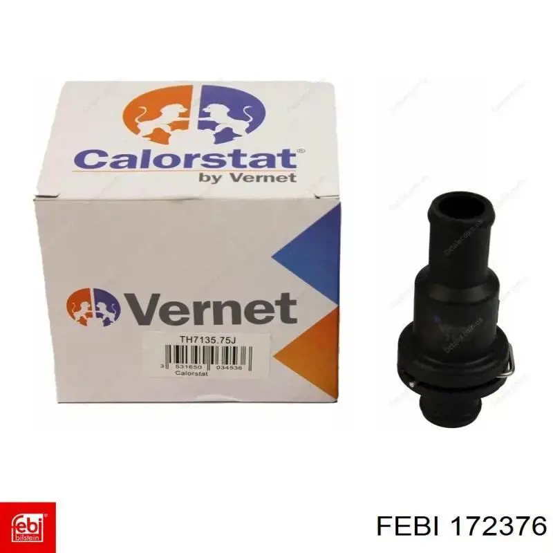 172376 Febi
