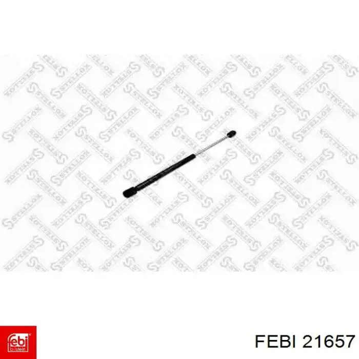 Febi 21657