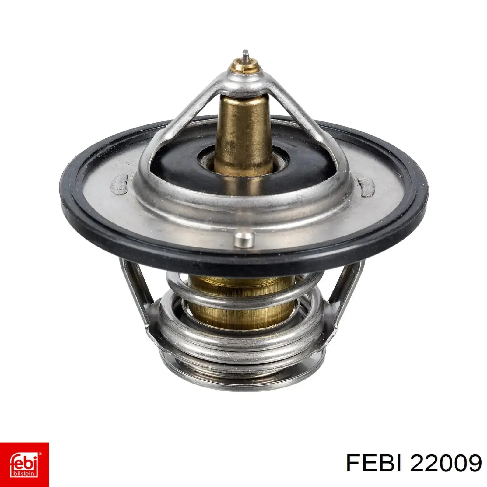22009 Febi