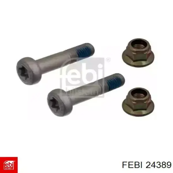  24389 Febi
