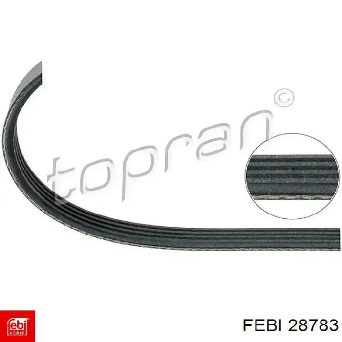 Клиновый ремень Febi 28783 цена, от 4.41 USD