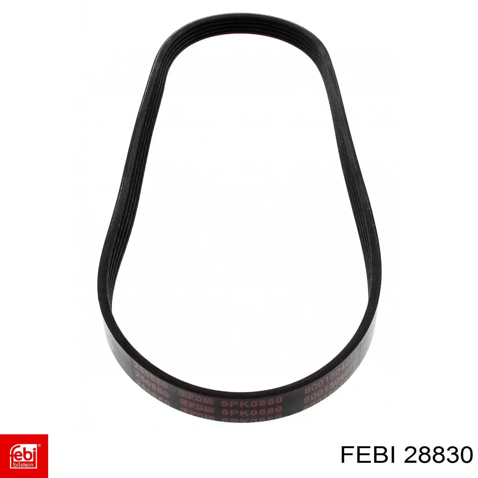 Купить 28830 Febi Ремень генератора