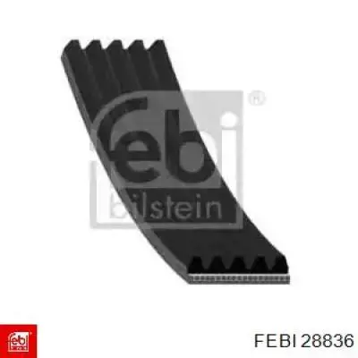 Купить 28836 Febi Ремень генератора