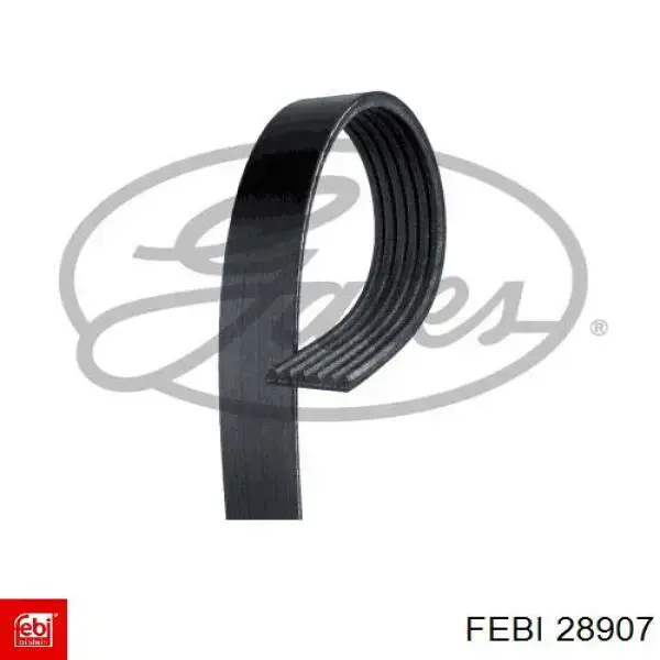 Купить 28907 Febi Ремень генератора