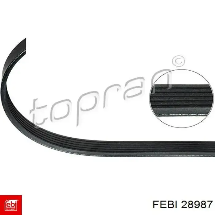 Клиновый ремень Febi 28987 цена, от 3.52 USD