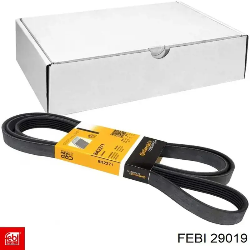 29019 Febi Поликлиновый ремень