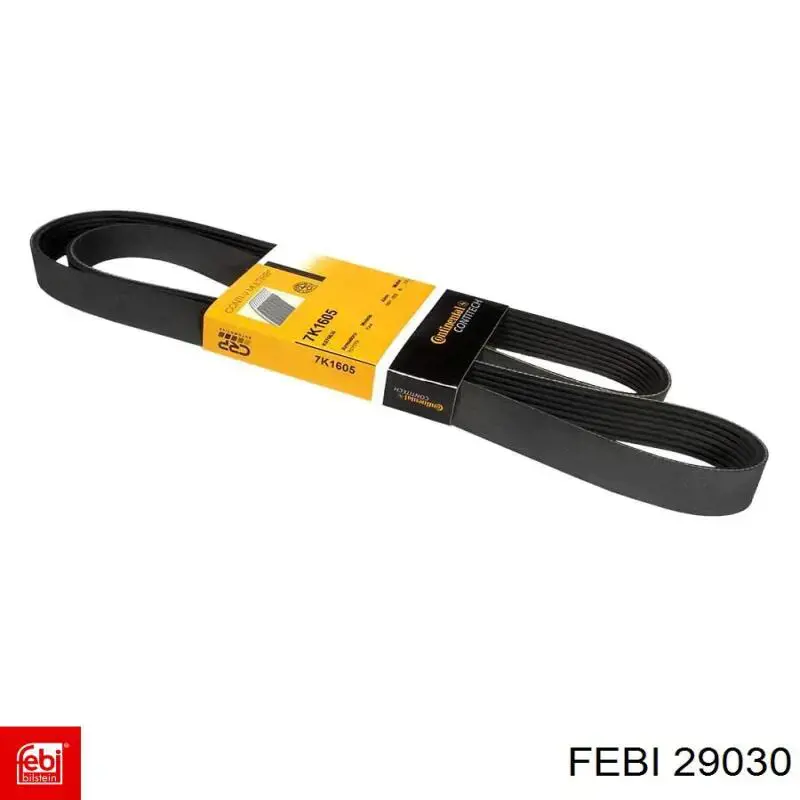 Купить 29030 Febi Ремень генератора