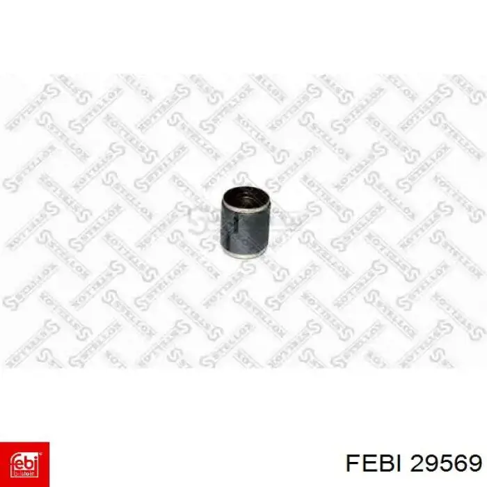 29569 Febi