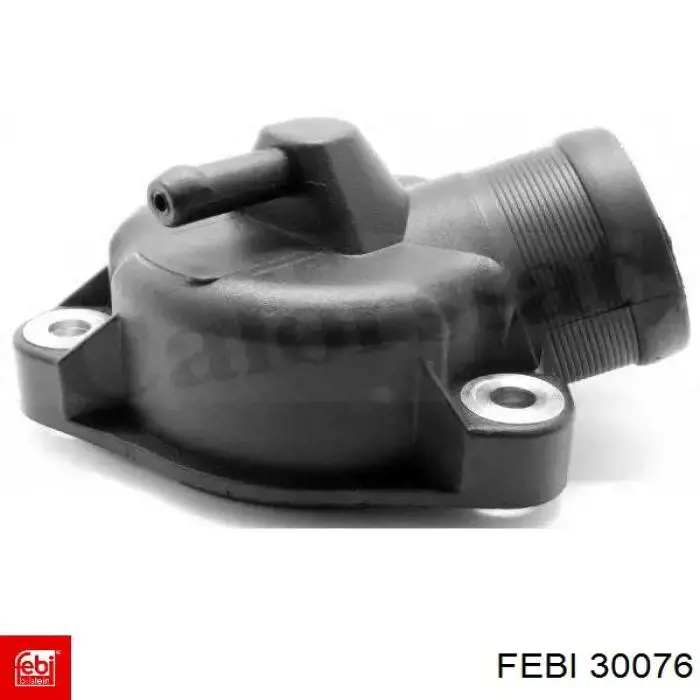  30076 Febi