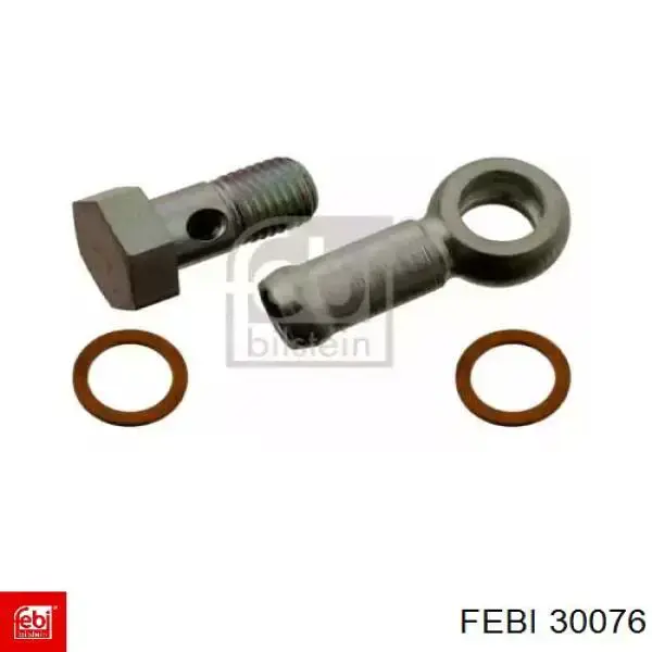 30076 Febi 