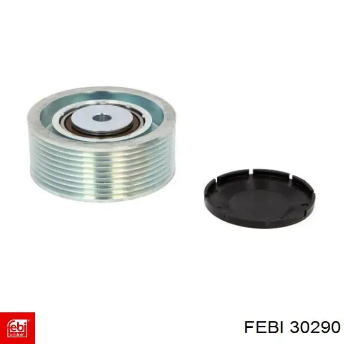 Купить 30290 Febi Паразитный ролик