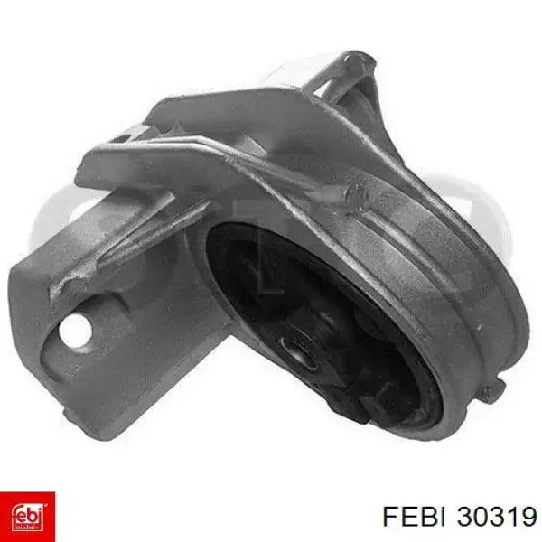  30319 Febi