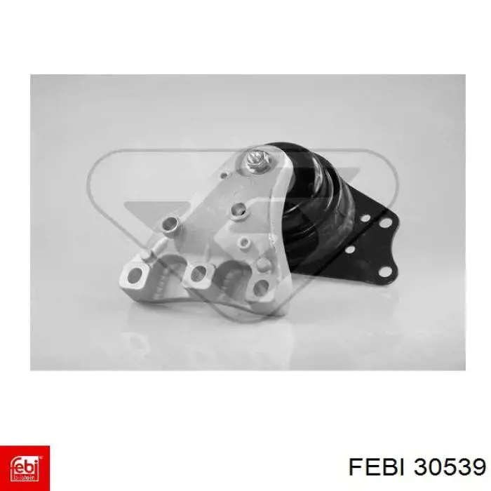 Купить 30539 Febi Набор цепи грм
