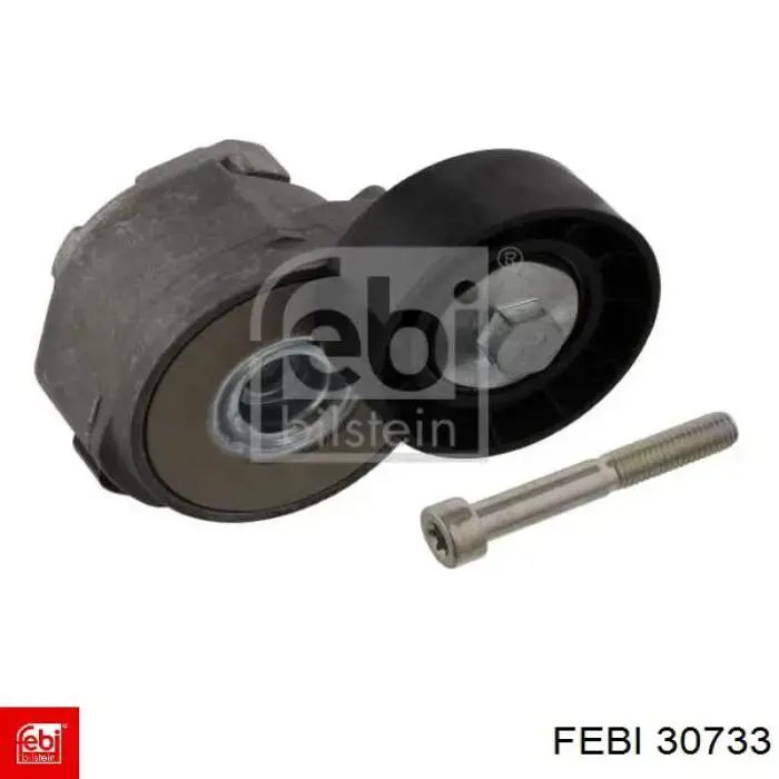 Роликовий модуль натяжителя ремня Febi 30733 цена, от 38.47 USD