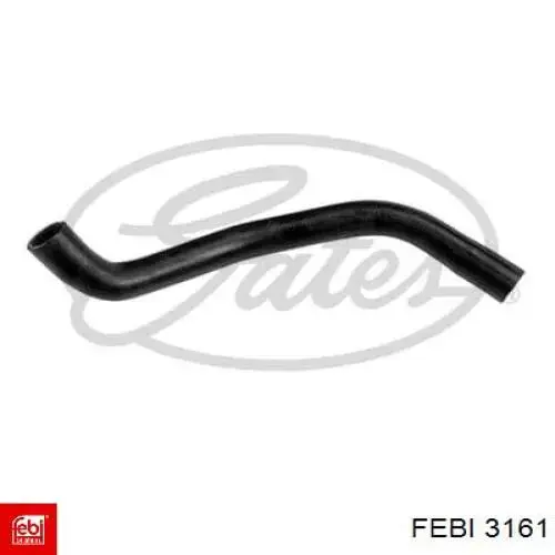 3161 Febi