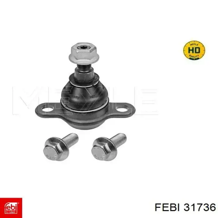 31736 Febi