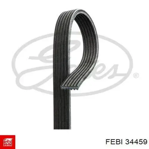 Купить 34459 Febi Ремень генератора