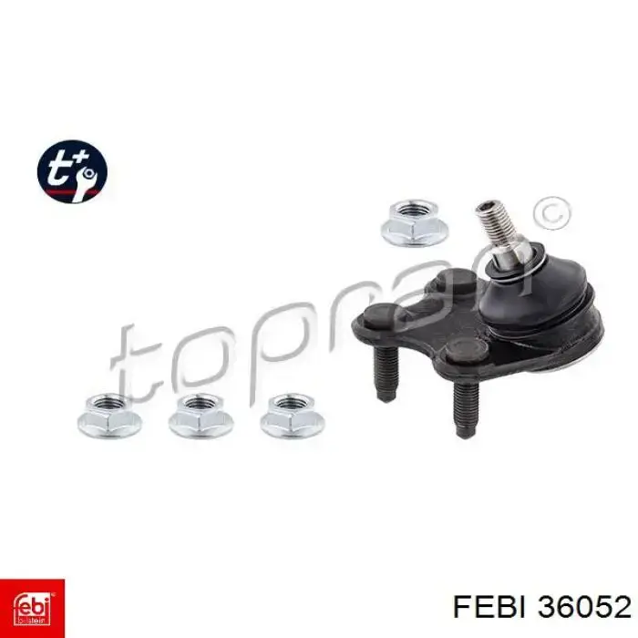 Нижняя правая шаровая опора 36052 Febi