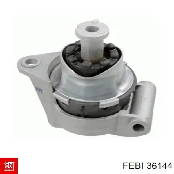 Купить 36144 Febi Шланг расширительного бачка нижний