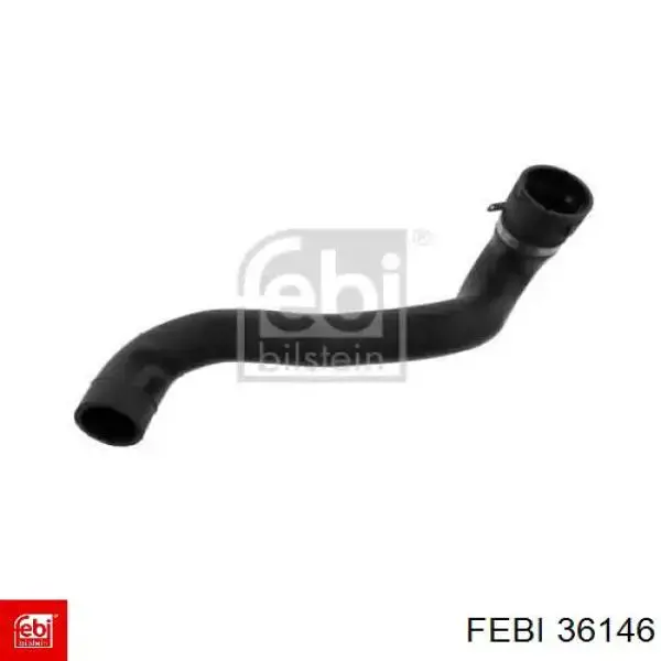Купить 36146 Febi Шланг радиатора охлаждения нижний