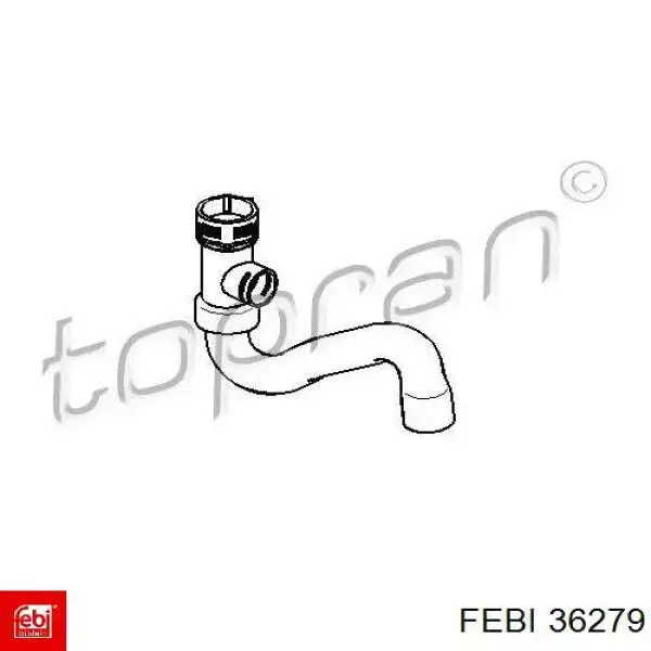 36279 Febi