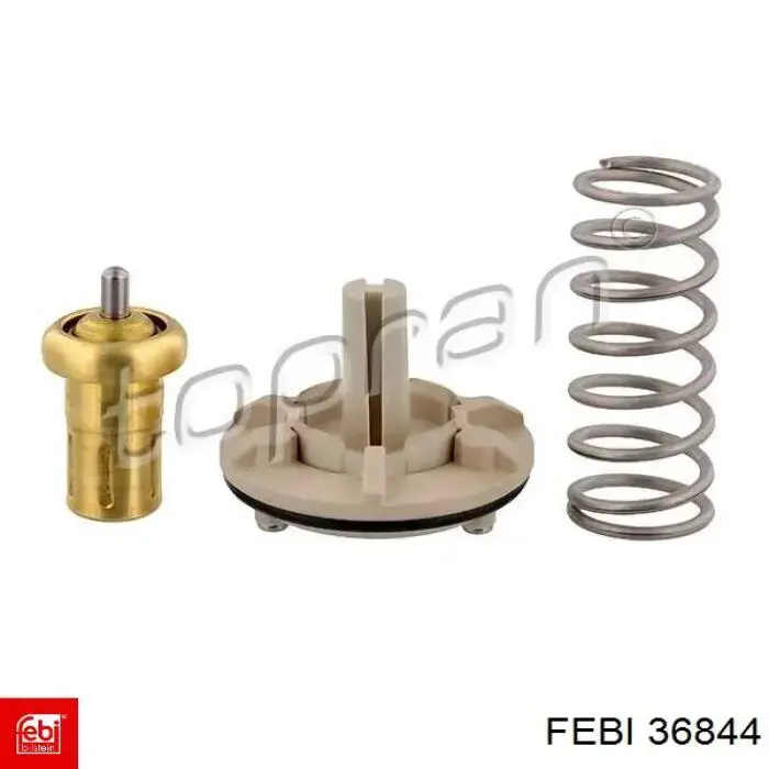 Термостат в сборе Febi 36844