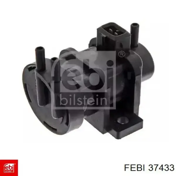 37433 Febi