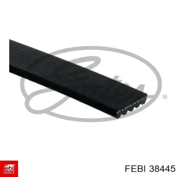 Купить 38445 Febi Ремень генератора
