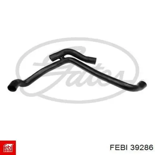 39286 Febi