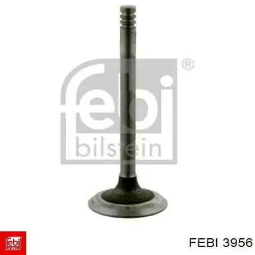  3956 Febi