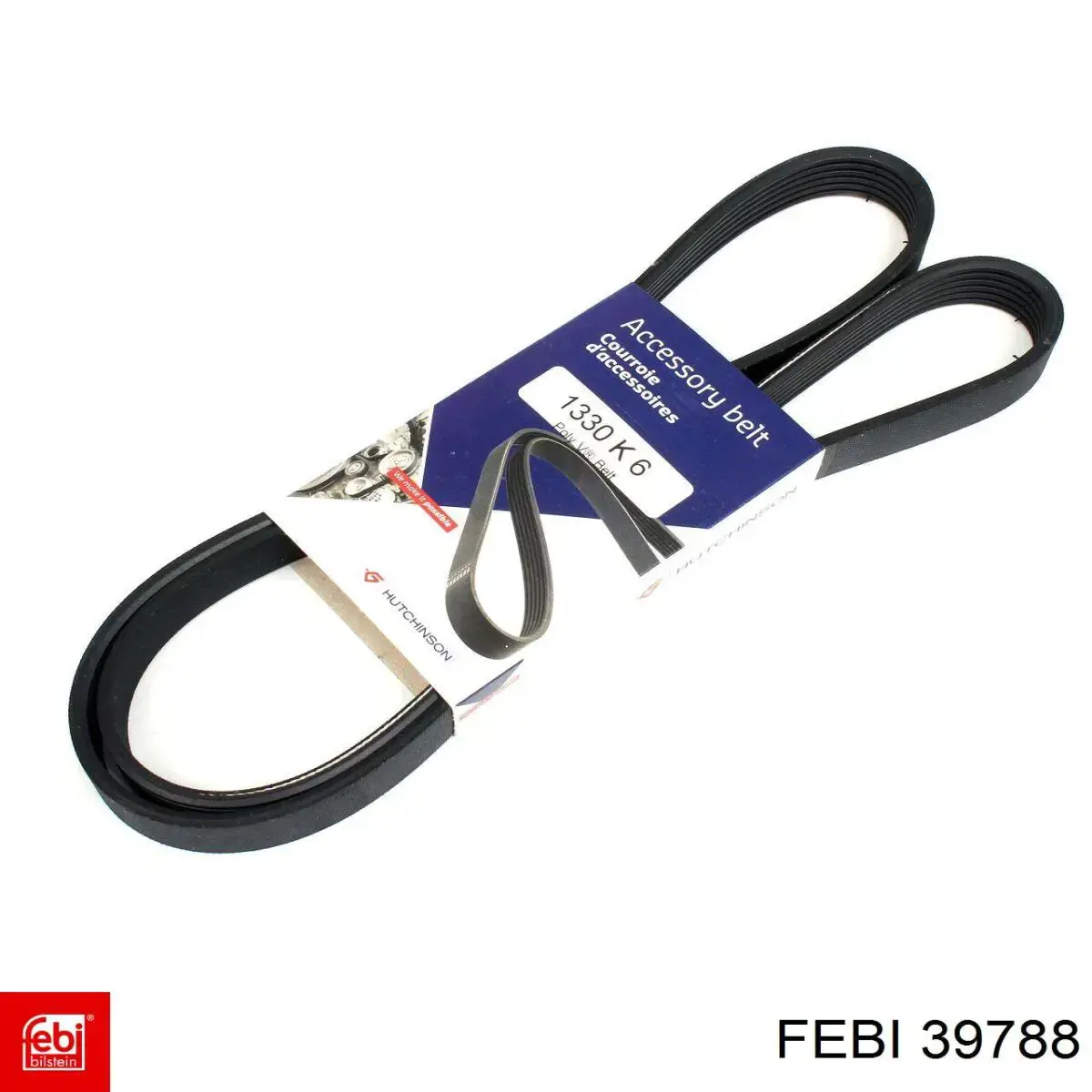 Купить 39788 Febi Ремень генератора