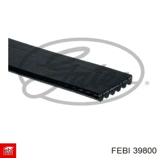 Купить 39800 Febi Ремень генератора