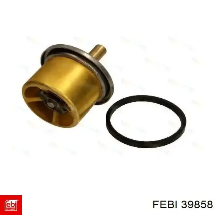 Termostato, refrigerante 39858 Febi