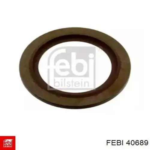  40689 Febi