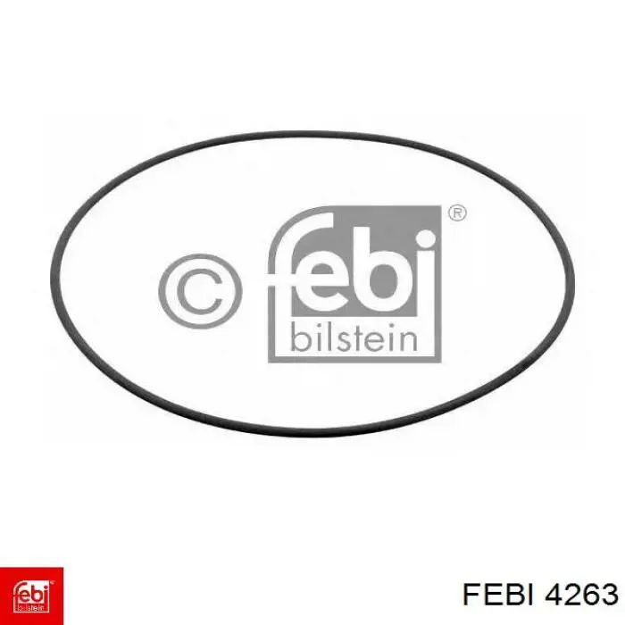  4263 Febi