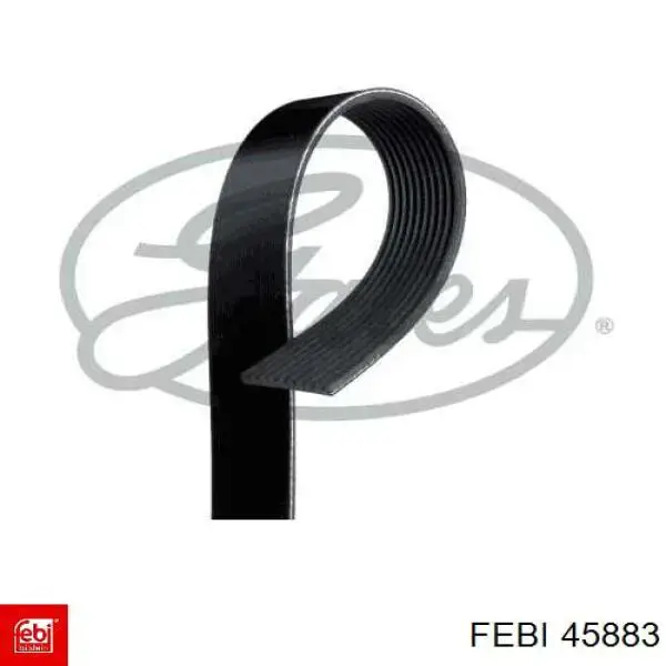 Ремень генератора 10PK2475 Dayco