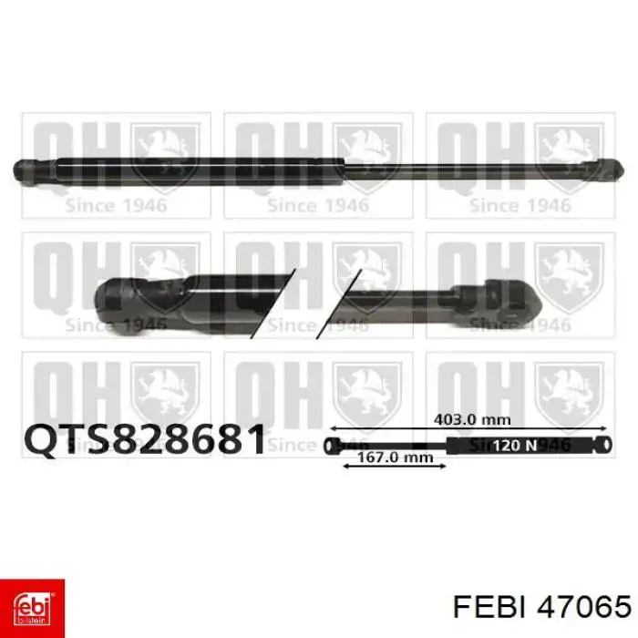 Купить 51247295205 BMW Амортизатор двери багажника
