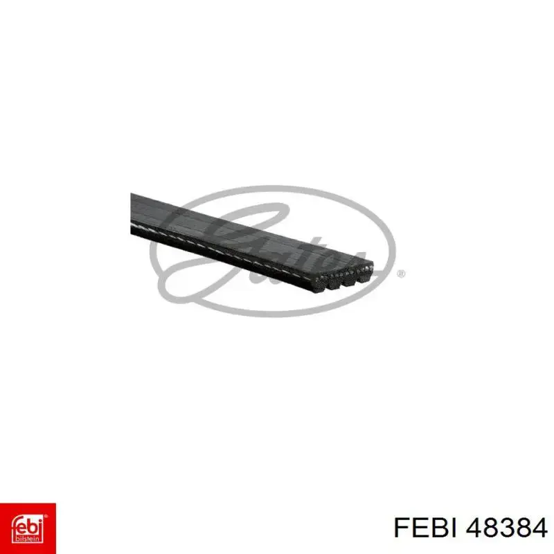 Цепь масляного насоса, комплект Febi 48384