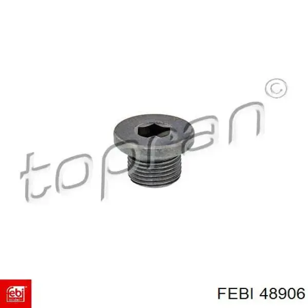 48906 Febi