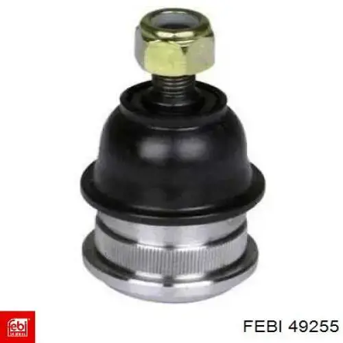 Купить 49255 Febi Шланг радиатора охлаждения нижний